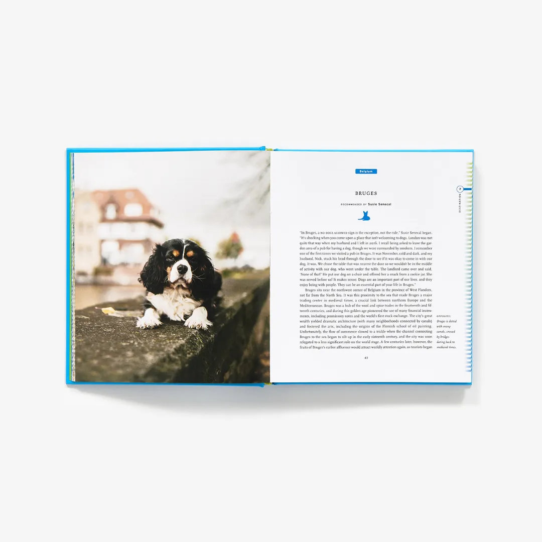 50 Places To Travel With Your Dog Before You Die Book