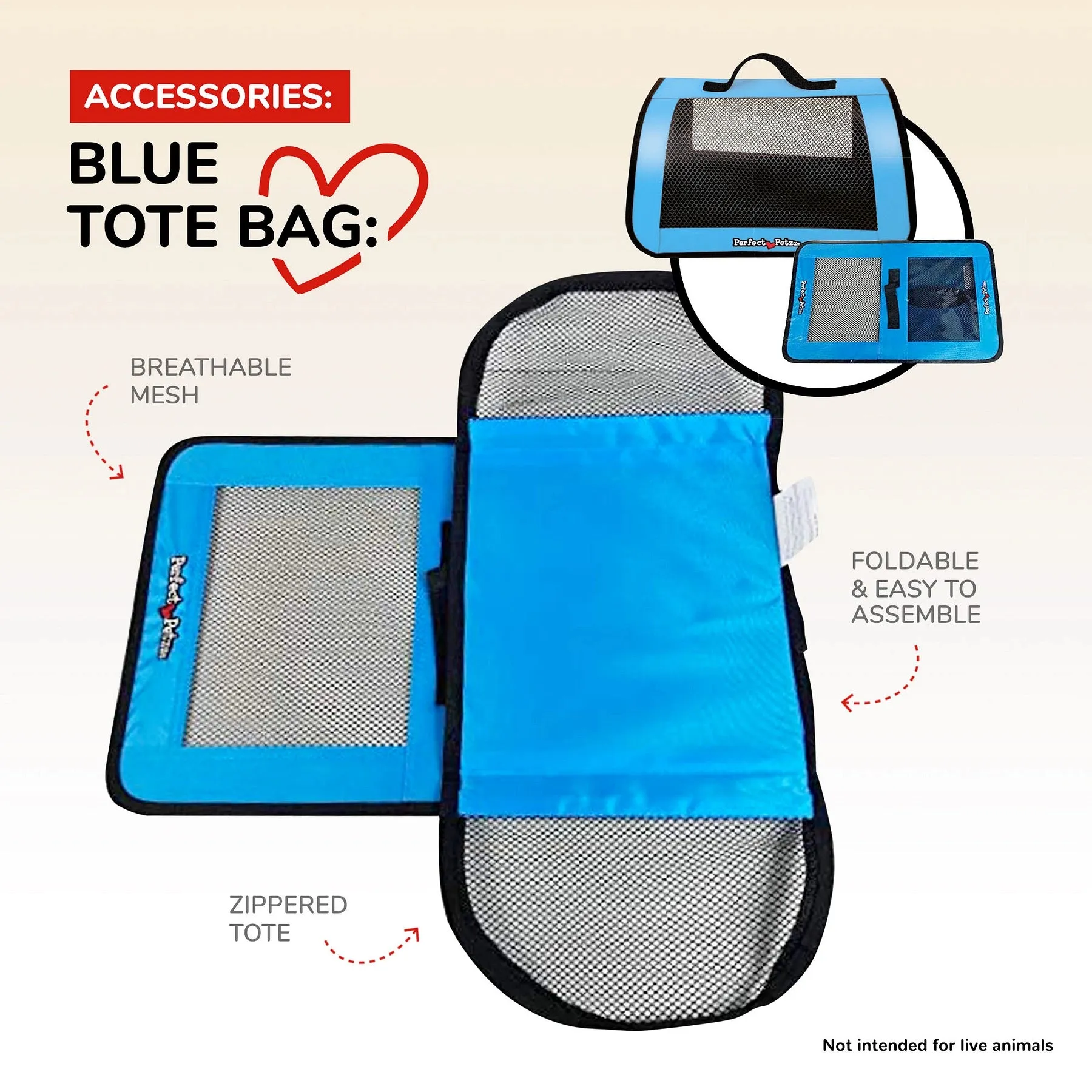 Accessory Tote