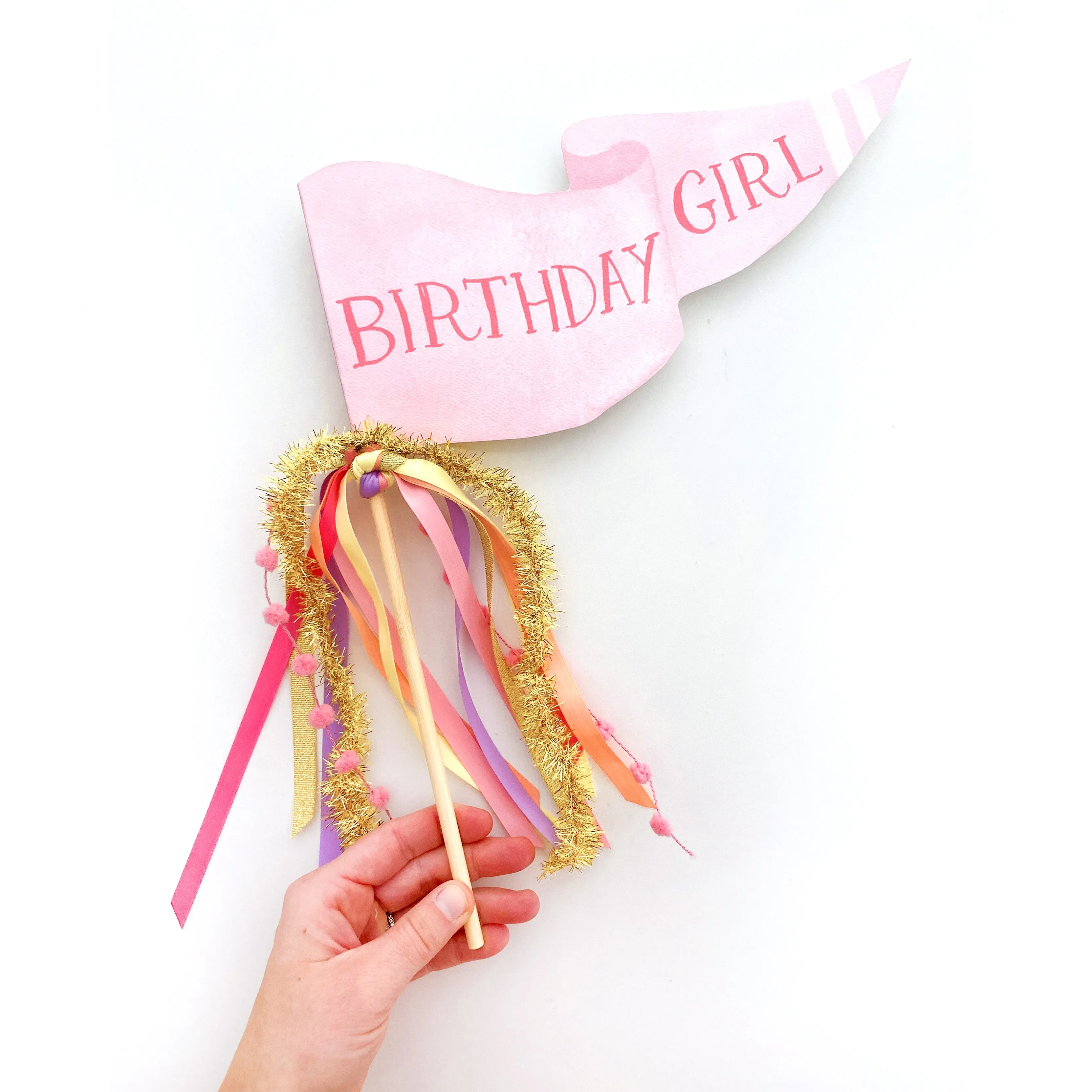 Birthday Girl Party Pennant