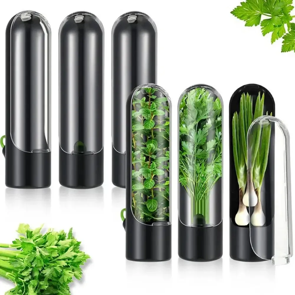 Herb Saver Storage