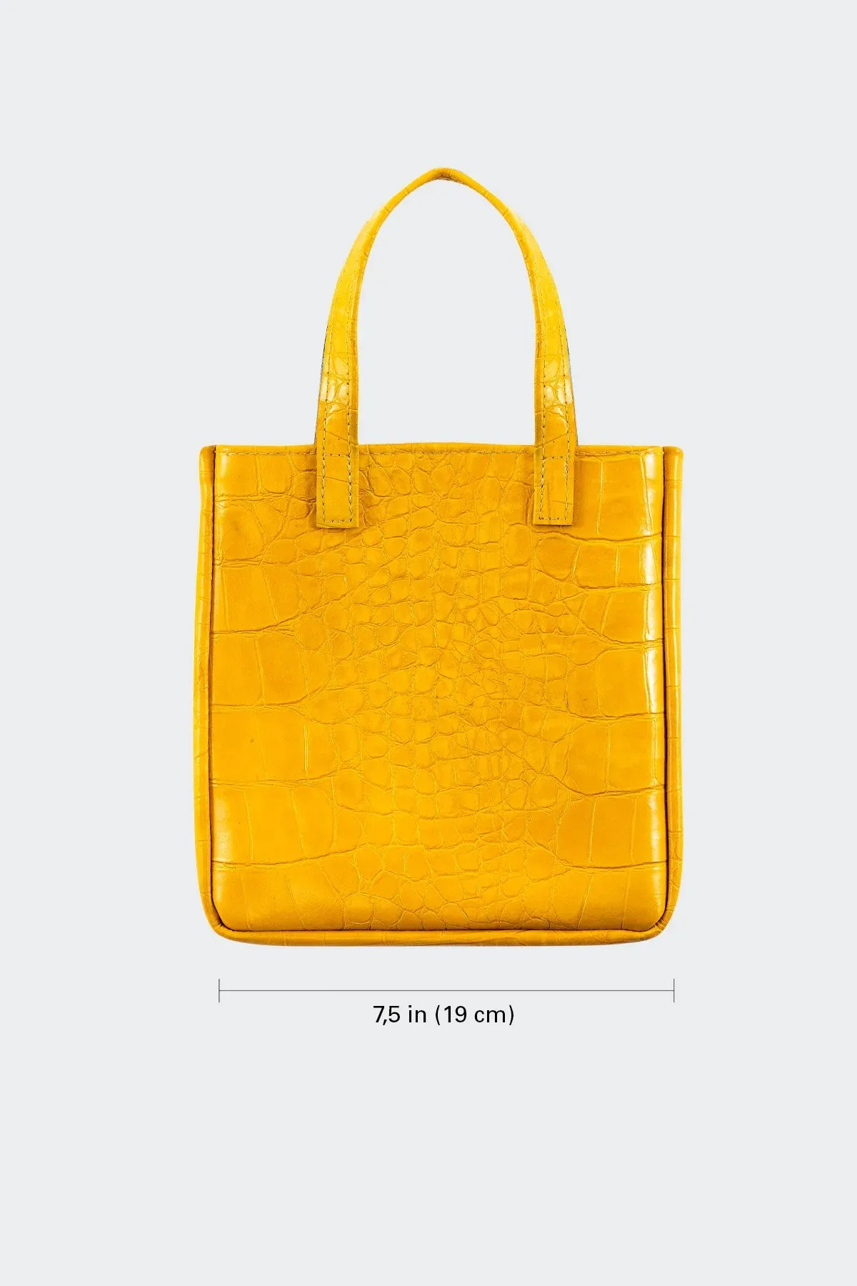 RLH3455 - Mini Leather Tote Bag